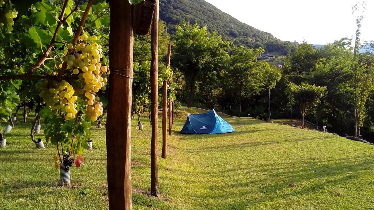 Camping Colle Vento Hotell Domaso Exteriör bild